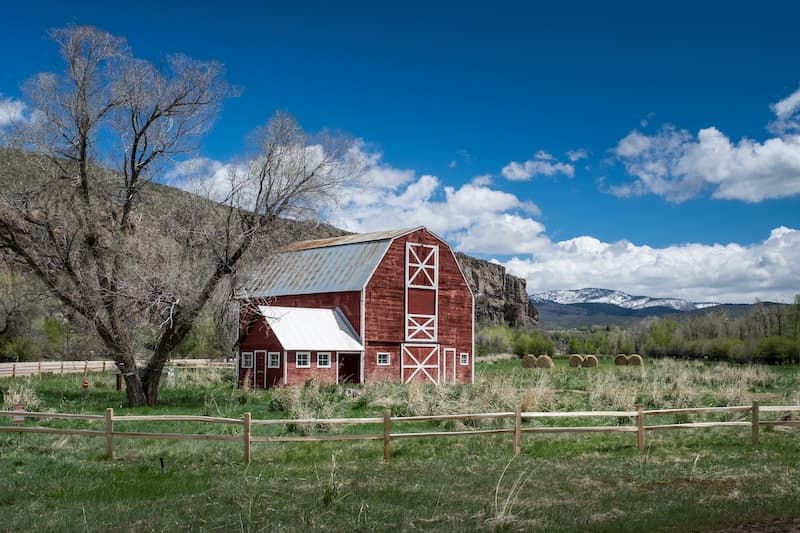 Hay bales in a field